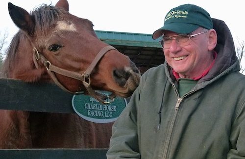Horse racing superstars find forever home at Old Friends
