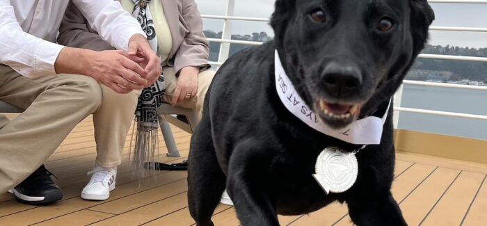 Celebrating ‘Platinum Mariner’ Service Dog on Holland America Line